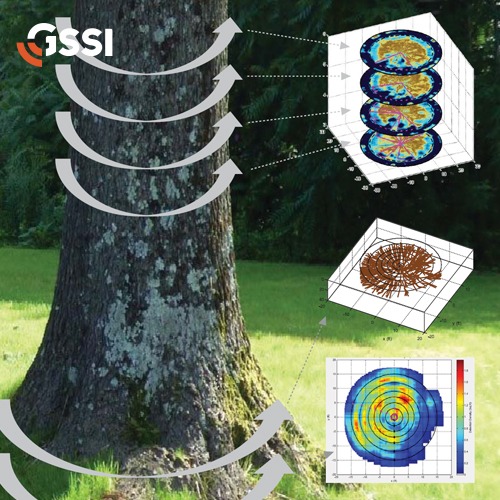 TRU - Tree radar Unit system 수목탐사기 뿌리 탐사 나무 뿌리 분포 밀도 심도 탐사